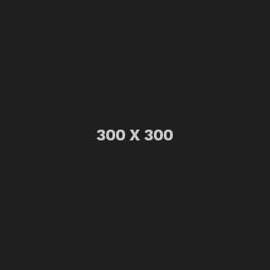placeholder-300-300
